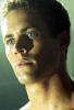 paulwalker.jpg